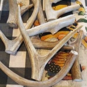 Naturally Sourced Antler Dog Chews/Crafts